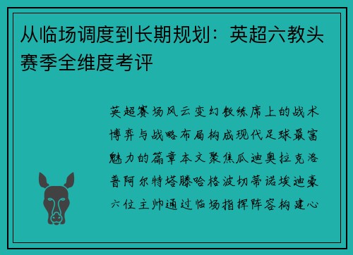 从临场调度到长期规划：英超六教头赛季全维度考评
